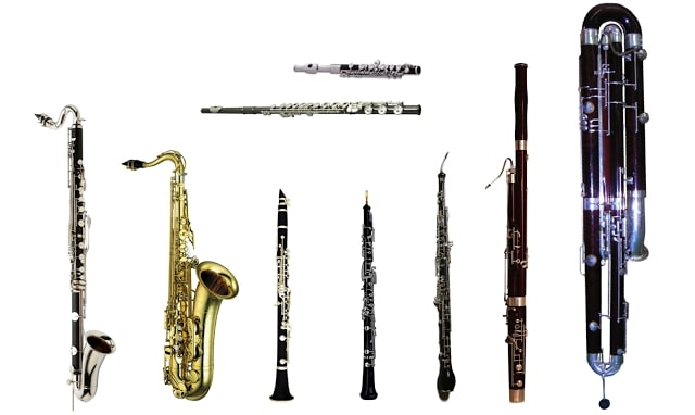 Exploring Woodwinds